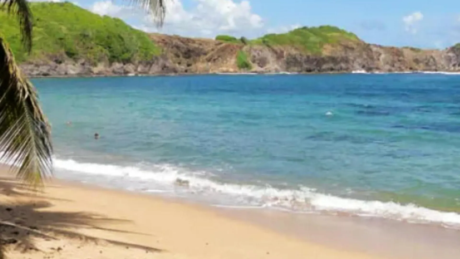Appartement Confortable A Sainte-Luce Avec Jardin Cloture Martinique